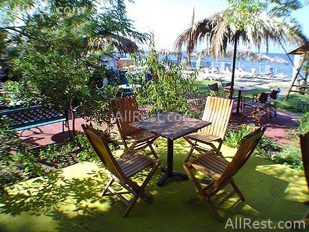 Theodorou Beach Hotel 16